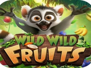 Wild Wild Fruits thumbnail