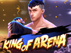 King Of Arena thumbnail